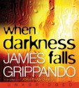 When Darkness Falls - James Grippando, Jonathan Davis