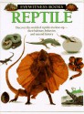 Reptile (Dk Eyewitness Books) - Colin McCarthy, Nick Arnold, Colin Keates