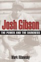 Josh Gibson: THE POWER AND THE DARKNESS - Mark Ribowsky