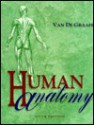 Human Anatomy - Kent M. Van De Graaff