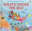 What's Under The Sea? (Usborne Starting Point Science) - Sophy Tahta, Stuart Trotter, Sharon Bennet