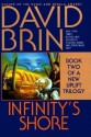 Infinity's Shore - David Brin