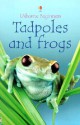 Tadpoles and Frogs - Anna Milbourne, Anna Melbourne, Patrizia Donaera, Nicola Butler