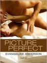 Picture Perfect - Evangeline Anderson