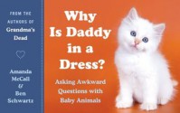 Why Is Daddy in a Dress? - Amanda McCall, Ben Schwartz