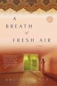 A Breath of Fresh Air (Ballantine Reader's Circle) - Amulya Malladi