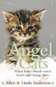 Angel Cats: When feline friends touch hearts and change lives - Allen Anderson, Linda Anderson