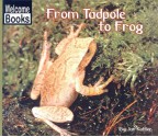 From Tadpole to Frog - Jan Kottke