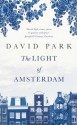 The Light of Amsterdam. David Park - David Park