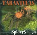 Tarantulas - Jason Cooper