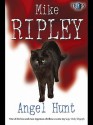 Angel Hunt - Mike Ripley