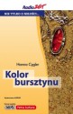 Kolor bursztynu - Hanna Cygler