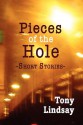 Pieces of the Hole: Short Stories - Tony Lindsay