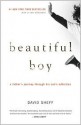 Beautiful Boy - David Sheff