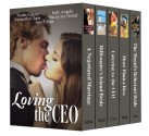 Loving the CEO (bundle of five romance novels) - Noelle Adams, Judy Angelo, Samantha Chase, Stacey Joy Netzel, Ana E. Ross