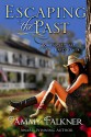 Escaping the Past - Tammy Falkner