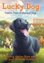 Lucky Dog: Twelve Tales of Rescued Dogs - Various, Randi Barrow, Marlane Kennedy, Elizabeth Cody Kimmel