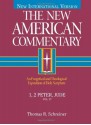 The New American Commentary: 1, 2 Peter, Jude (New American Commentary, 37) - Thomas R. Schreiner