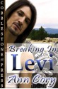 Breaking in Levi - Ann Cory