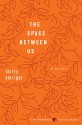 The Space Between Us - Thrity Umrigar