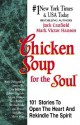 Chicken Soup for the Soul: 101 Stories to Open the Heart and Rekindle the Spirit - Jack Canfield, Mark Victor Hansen
