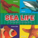 Sea Life - The Clever Factory