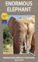 Enormous Elephant - Indoor Explorer Picture Book - Michael Wills