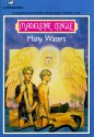 Many Waters (Time, #4) - Madeleine L'Engle, Peter Sís