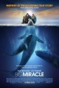 Big Miracle - Tom Rose