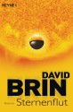 Sternenflut: Roman (German Edition) - David Brin, Rainer Schmidt