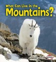 What Can Live in the Mountains? - Sheila Anderson