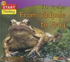 Life Cycles from Tadpole to Frog - Sally Hewitt