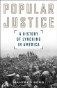 Popular Justice: A History of Lynching in America (American Ways Series) - Manfred Berg