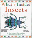 Insects - DK Publishing