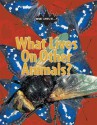 What Lives on Other Animals? - John Woodward