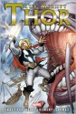 The Mighty Thor - Volume 2 - Matt Fraction