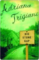 Big Stone Gap - Adriana Trigiani