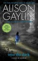 Into the Dark: A Novel of Suspense (Brenna Spector Novel) - Alison Gaylin