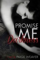 Promise Me Darkness - Paige Weaver