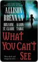 What You Can't See (Includes: Bullet Catcher, #5; Seven Deadly Sins Prequel) - Allison Brennan, Roxanne St. Claire, Karen Tabke