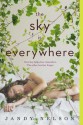 The Sky Is Everywhere - Jandy Nelson