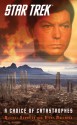 A Choice of Catastrophes (Star Trek: The Original Series) - Steve Mollmann, Michael Schuster