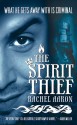 The Spirit Thief - Rachel Aaron, Luke Daniels