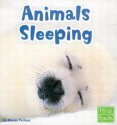 Animals Sleeping - Wendy Perkins