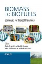 Biomass to Biofuels: Strategies for Global Industries - Alain A. Vertès, Hans P. Blaschek, Nasib Qureshi, Hideaki Yukawa