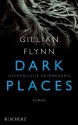 Dark Places - Gefährliche Erinnerung: Thriller - Gillian Flynn