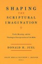 Shaping the Scriptural Imagination: Truth, Meaning, and the Theological Interpretation of the Bible - Donald H. Juel, Shane Berg, Matthew L. Skinner