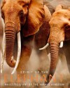 Spirit of the Elephant: Majestic Giant of the Animal Kingdom - Gill Davies, Philip de Ste. Croix