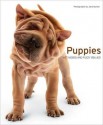 Puppies - Metro Books, Jane Burton