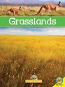 Grasslands with Code - Lily Erlic